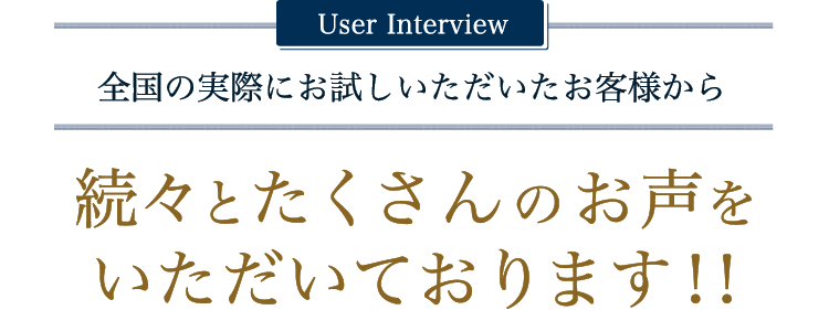 User interview